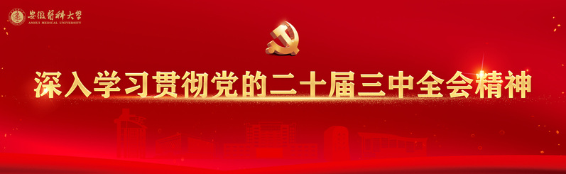 党的二十届三中全会精神